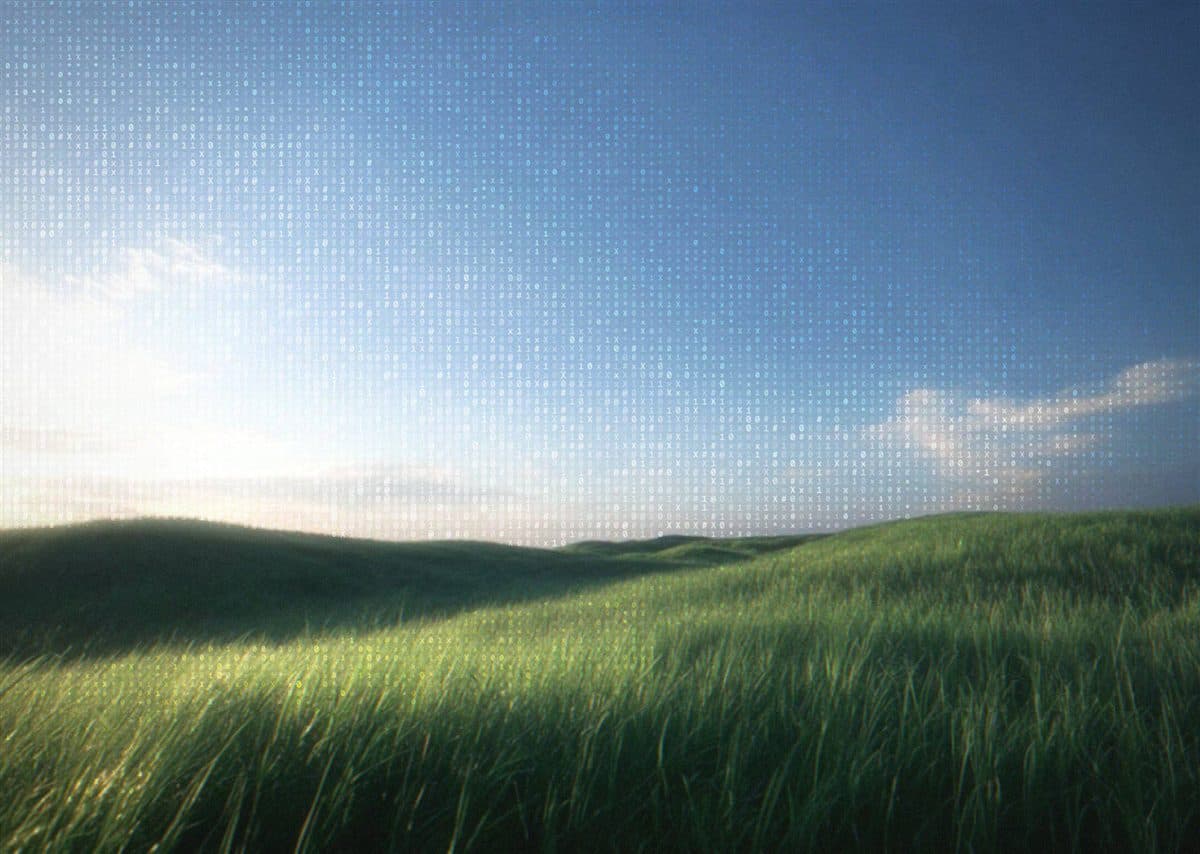 A calm grass field under an open sky, woven through with faint digital code